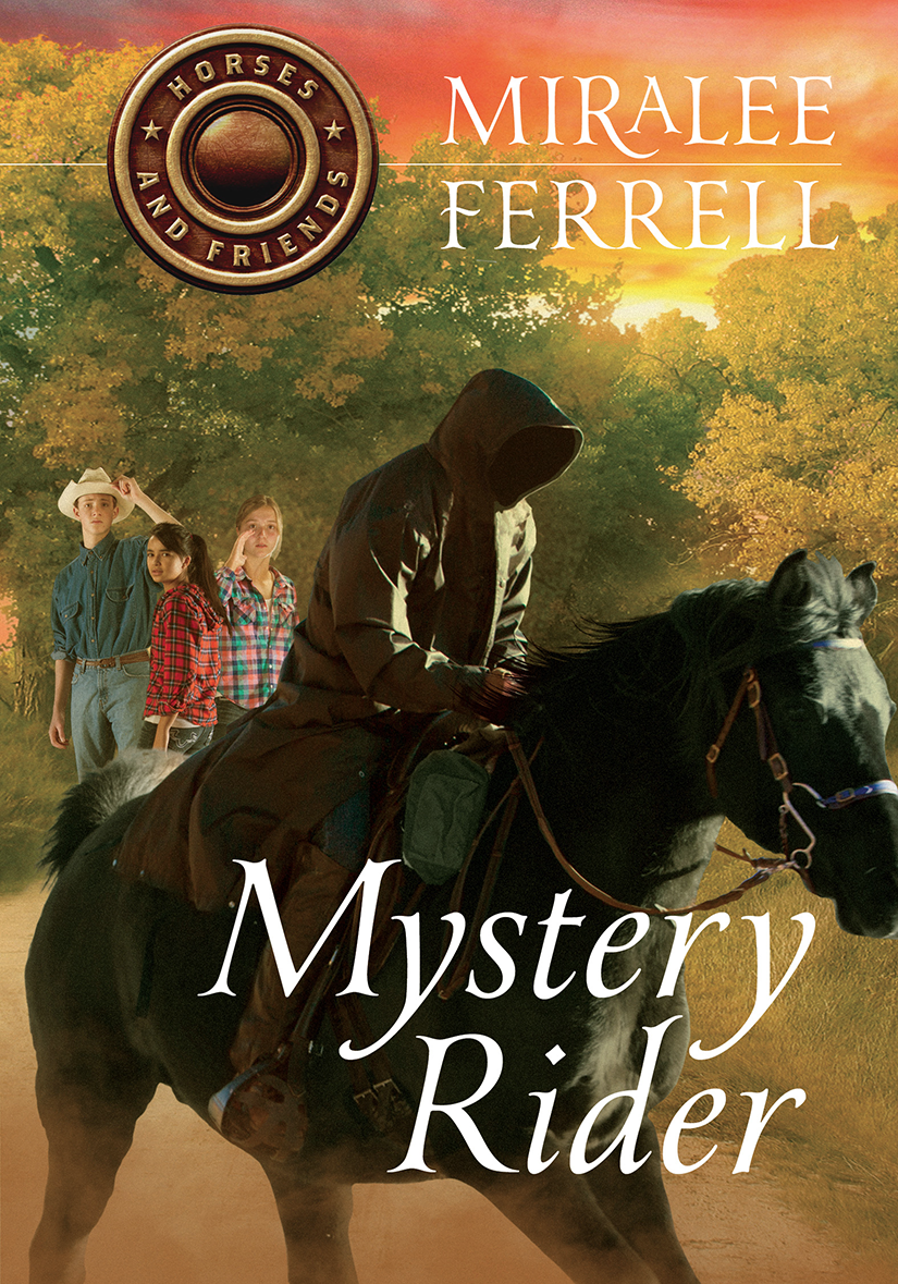 Mystery Rider (2015) by Miralee Ferrell