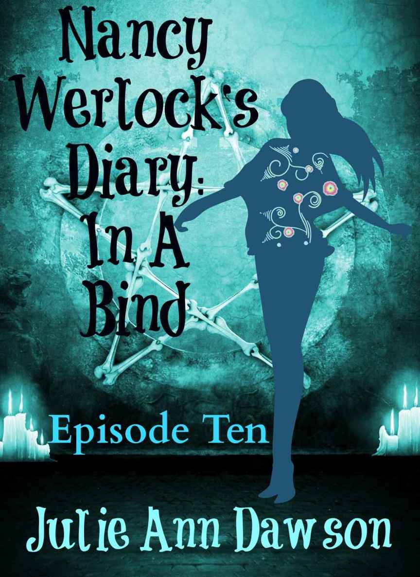 nancy werlock's diary s01 - episodes 10 by julie ann dawson