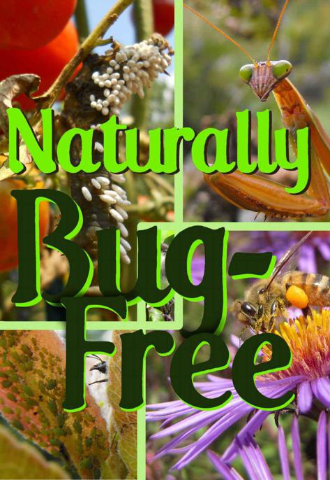 Naturally Bug-Free