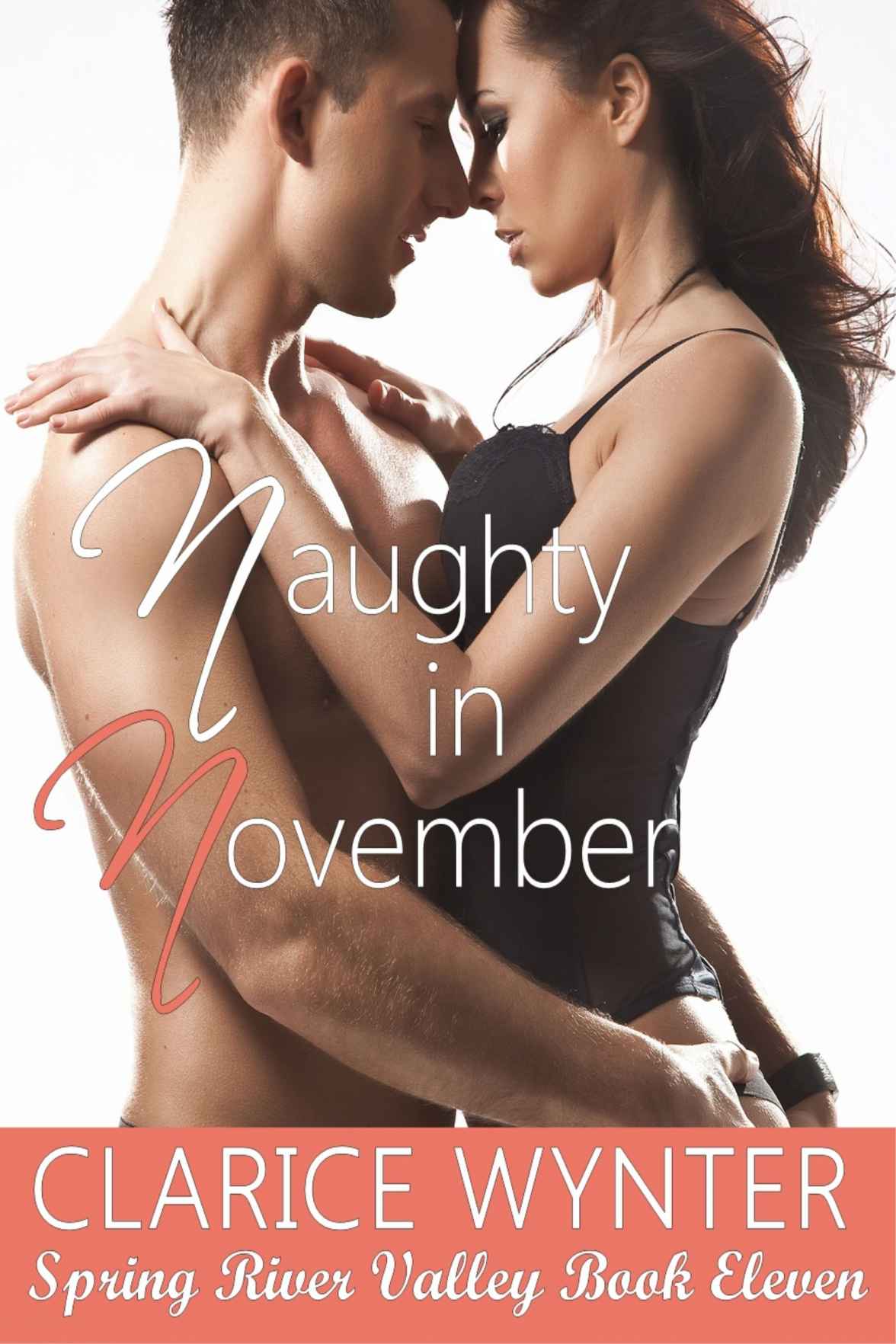 Naughty in November (Spring River Valley Book 11) by Wynter, Clarice