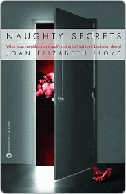 Naughty Secrets: What Your Neighbors Are Really Doing Behind Their Bedroom Doors! (2003)