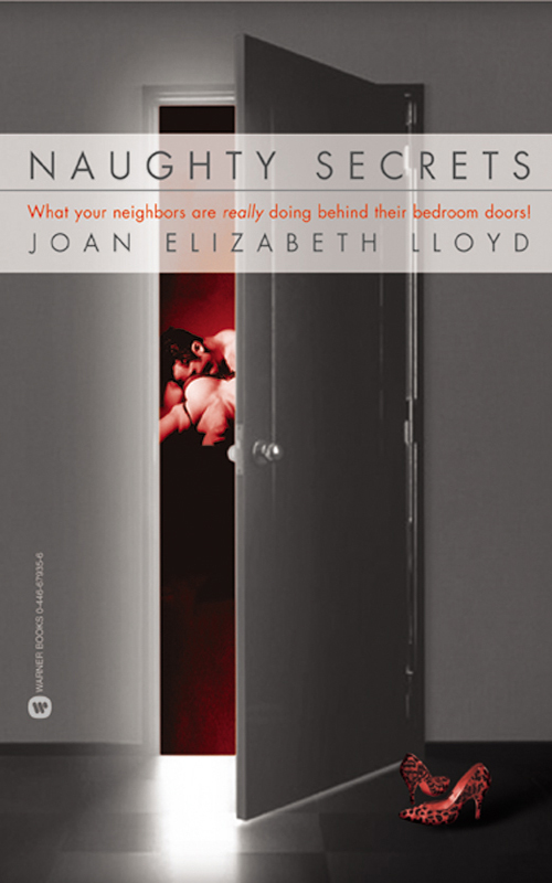 Naughty Secrets (2003) by Joan Elizabeth Lloyd