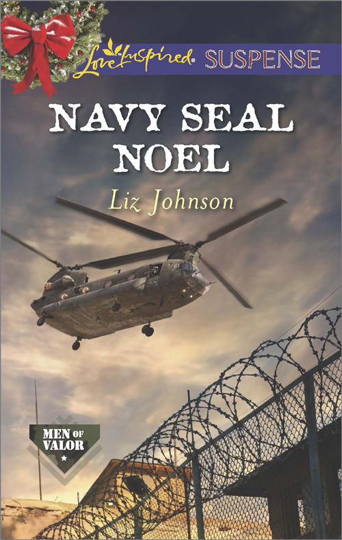 Navy SEAL Noel (2014)