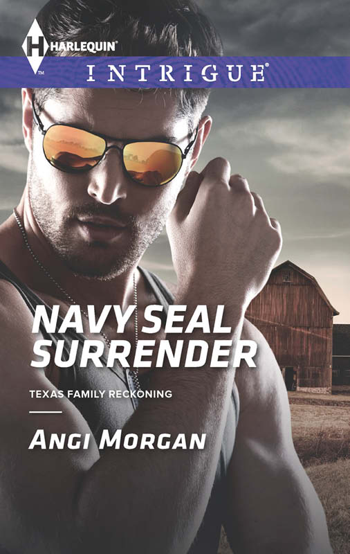 Navy SEAL Surrender by Angi Morgan