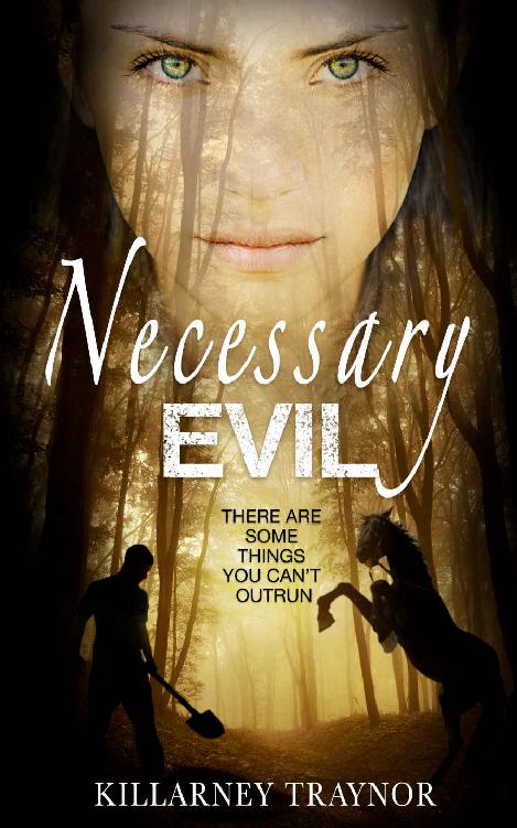 Necessary Evil by Killarney Traynor