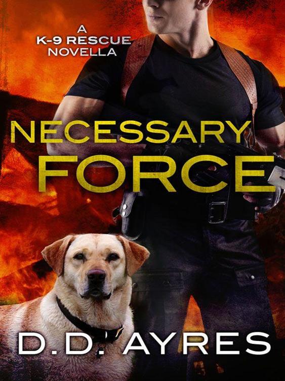 Necessary Force by D. D. Ayres