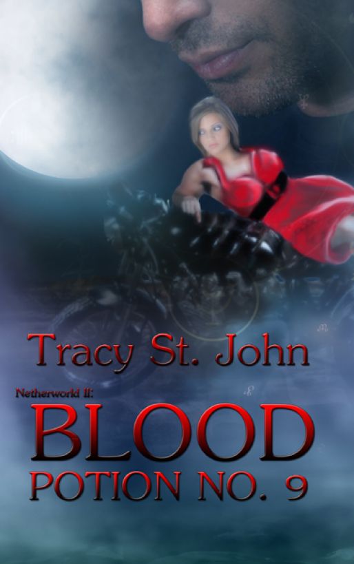 Netherworld II: Blood Potion No. 9 by Tracy St.John