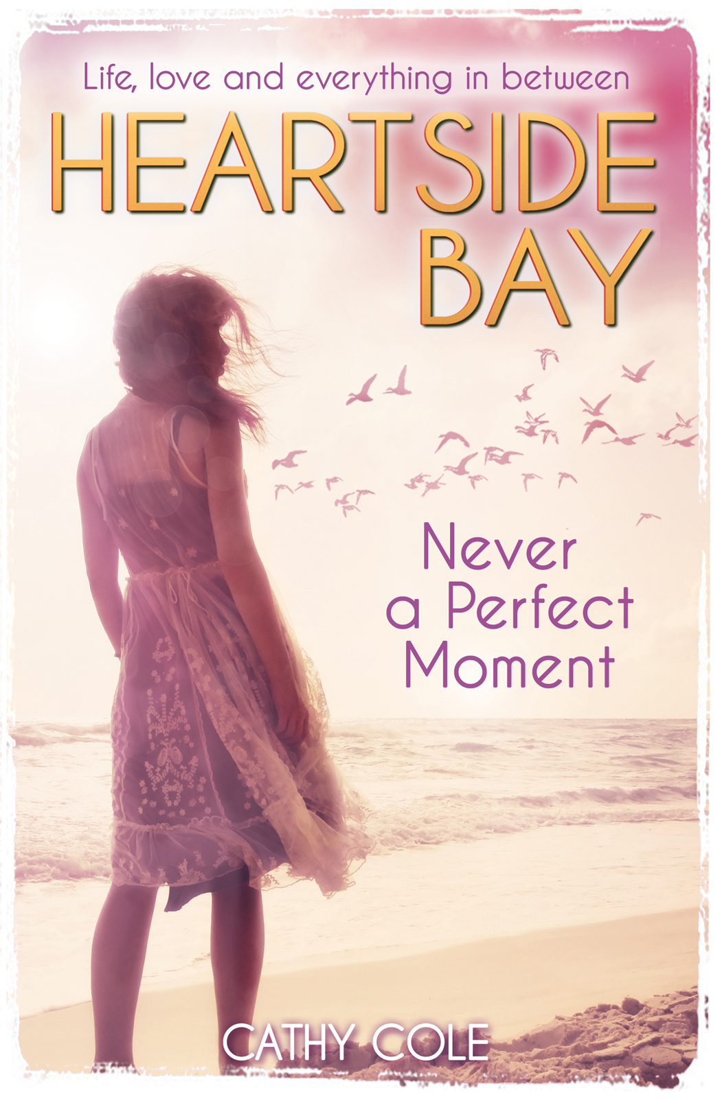 Never a Perfect Moment (2014) by Cathy Cole