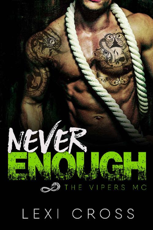 Never Enough: The Vipers MC