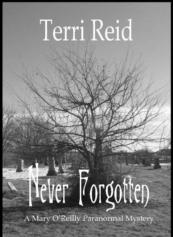 Never Forgotten by Reid, Terri