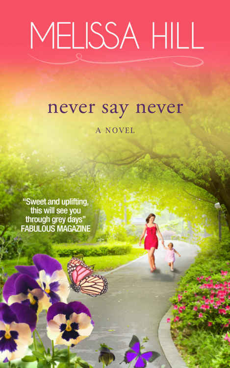 Never Say Never (Lakeview Contemporary Romance Book 3) by Melissa Hill