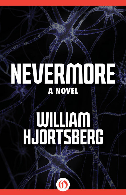 Nevermore by William Hjortsberg