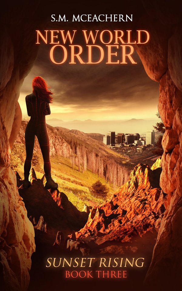 New World Order by S.M. McEachern