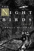 Night Birds, The