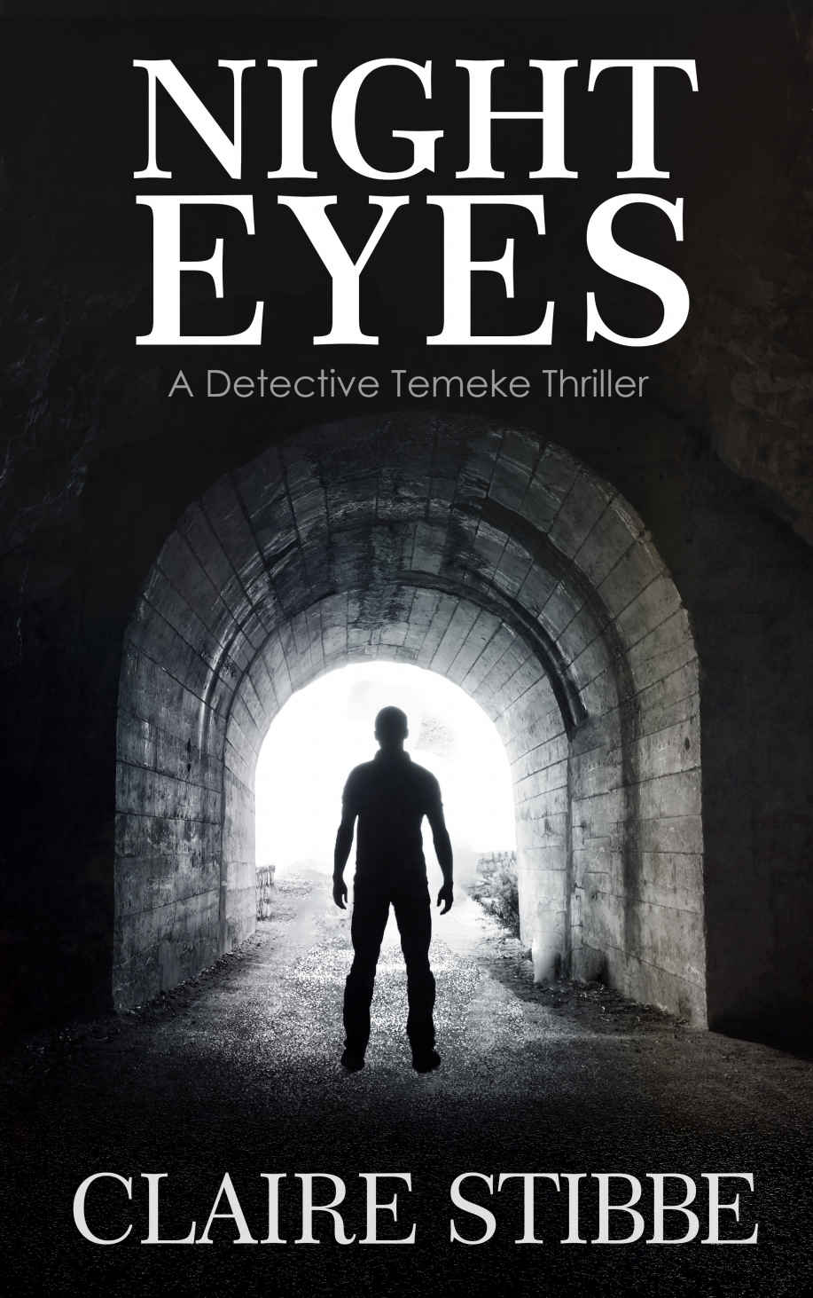 Night Eyes (The Detective Temeke Crime Series Book 2) by Claire Stibbe