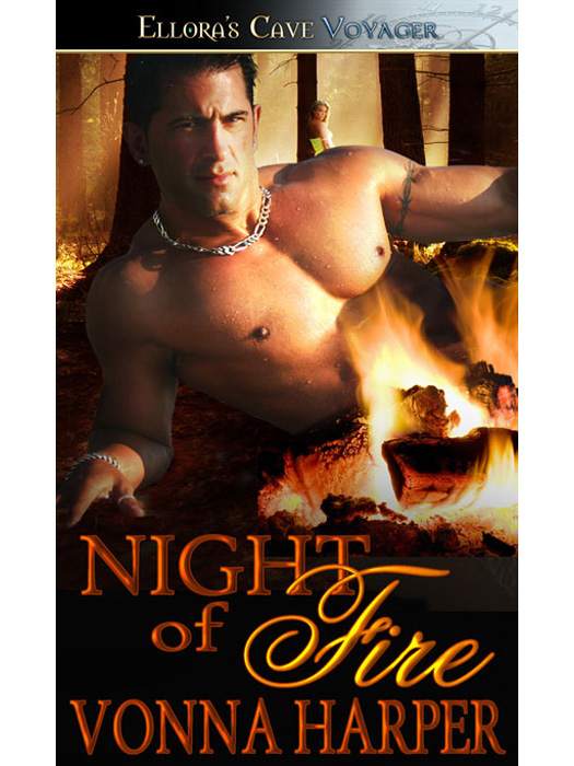 Night of Fire (2013) by Vonna Harper