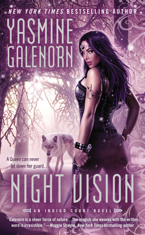 Night Vision by Yasmine Galenorn