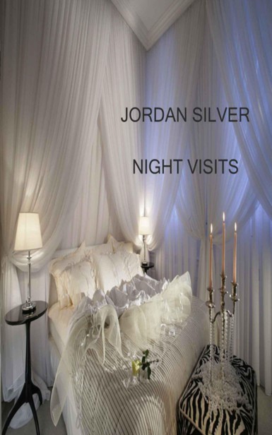 Night Visits by Silver, Jordan