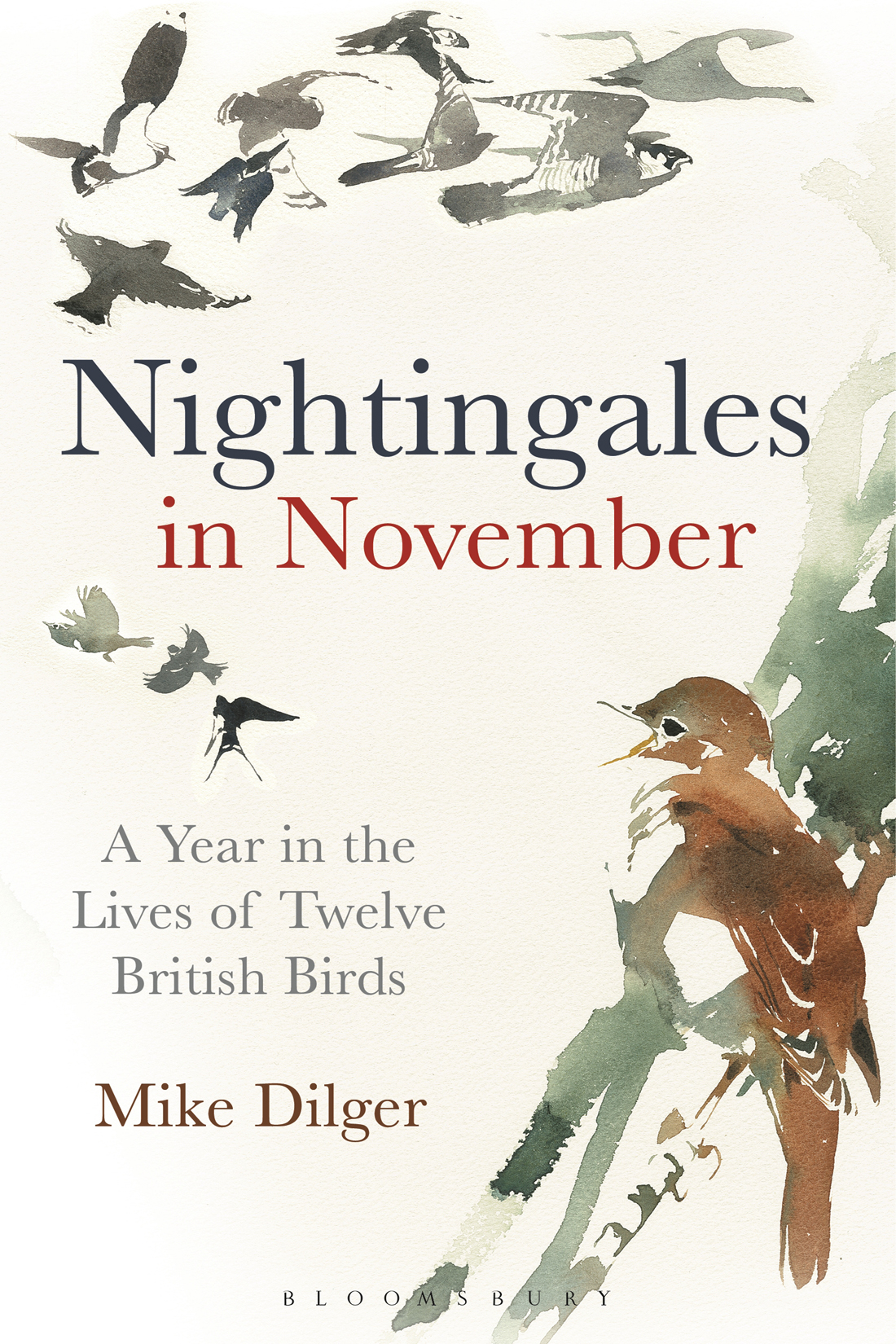 Nightingales in November by Mike Dilger