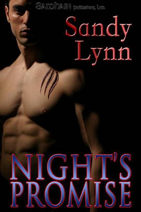 Night's Promise by Sandy Lynn