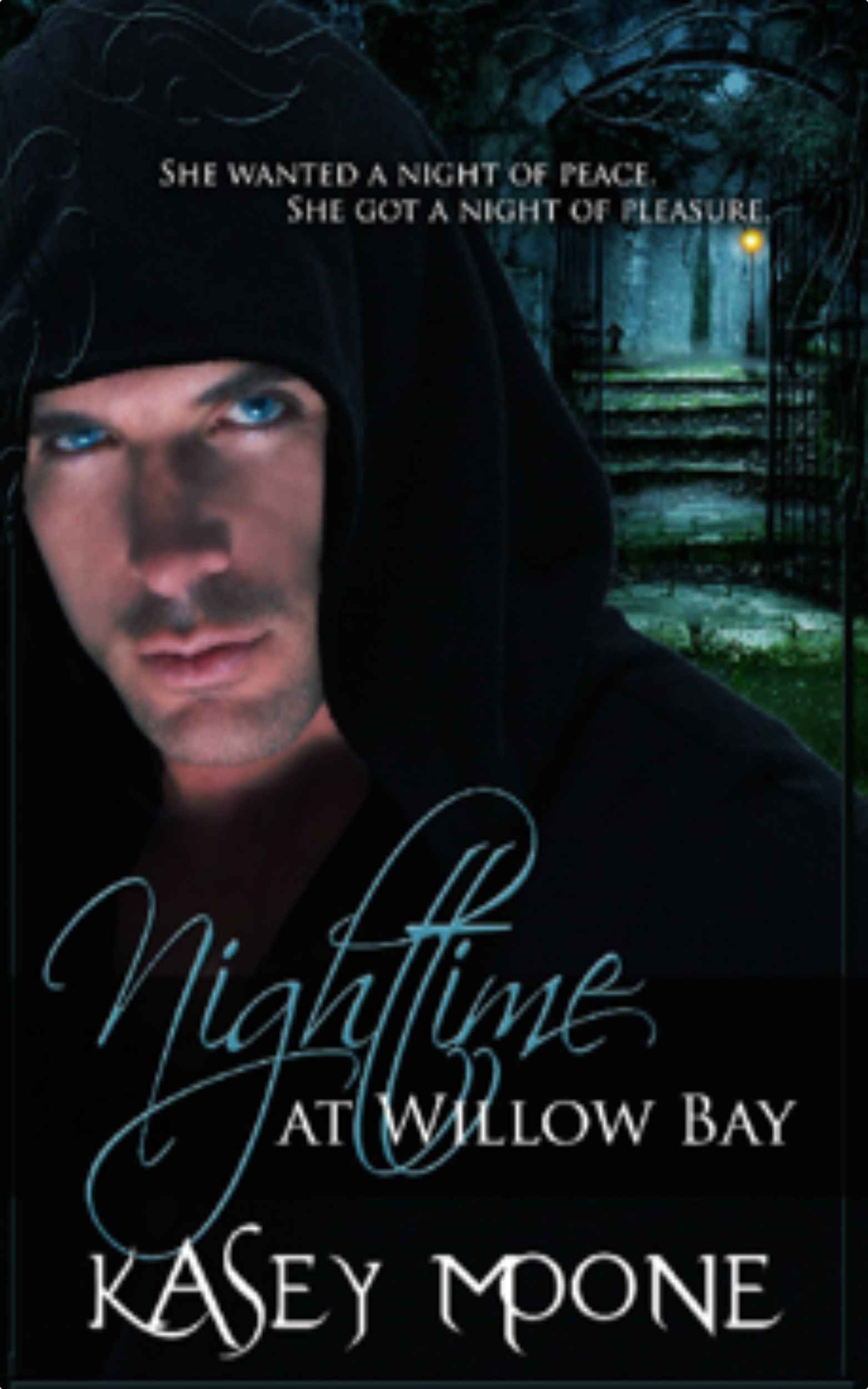 Nighttime at Willow Bay by Moone, Kasey