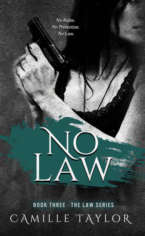 No Law (Law #3) by Camille Taylor