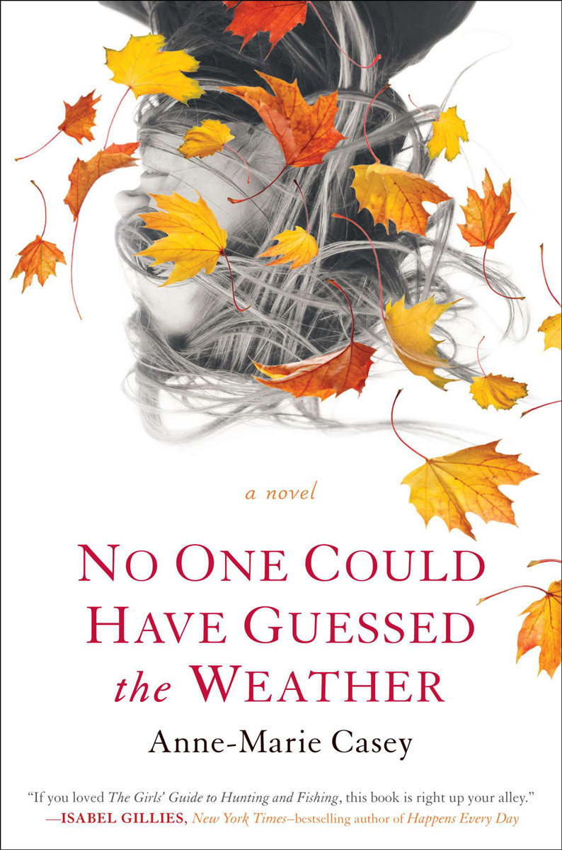 No One Could Have Guessed the Weather (2013)