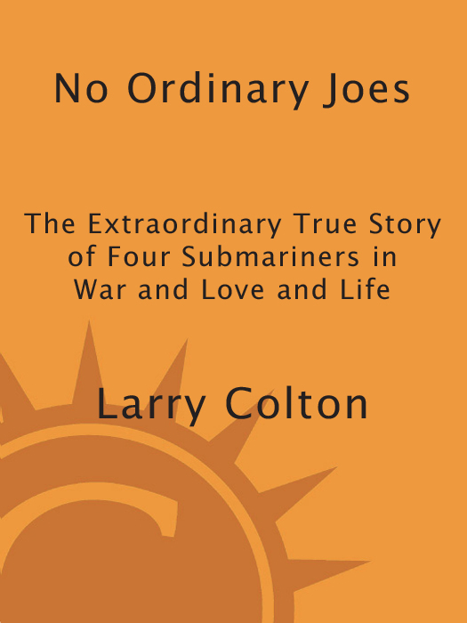 No Ordinary Joes (2010) by Larry Colton