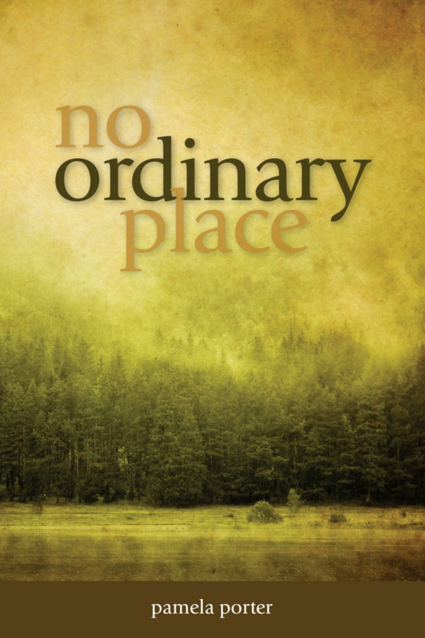 No Ordinary Place by Pamela Porter