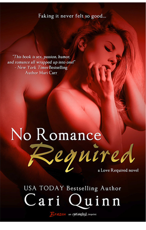 No Romance Required by Cari Quinn