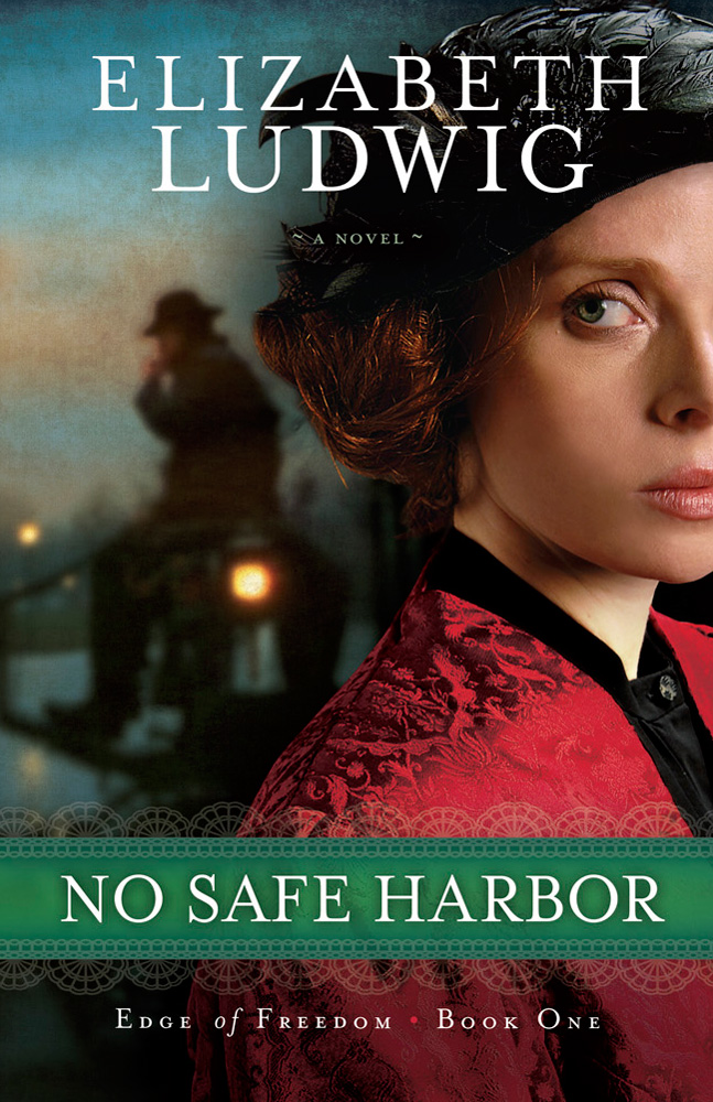 No Safe Harbor by Ludwig, Elizabeth