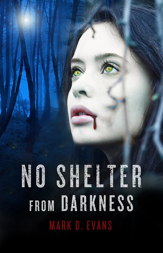 No Shelter from Darkness (2013)
