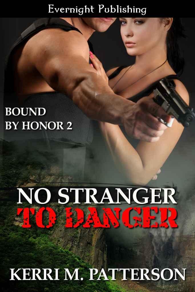 No Stranger to Danger by No Stranger to Danger (Evernight)