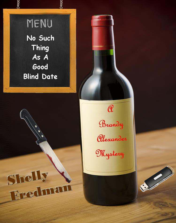 No Such Thing As a Good Blind Date: A Brandy Alexander Mystery (No Such Thing As: A Brandy Alexander Mystery) by Shelly Fredman