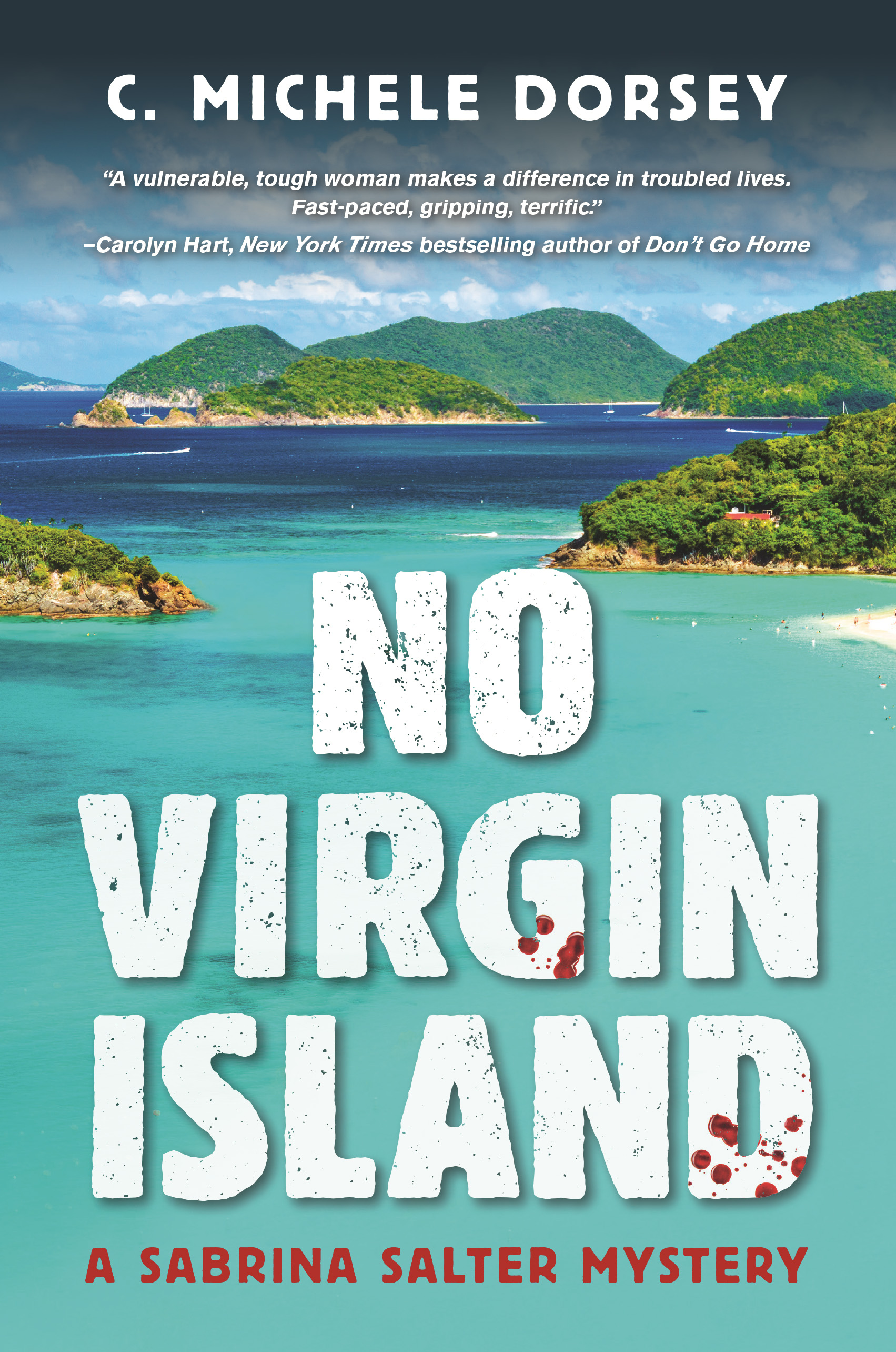 No Virgin Island (2015) by C. Michele Dorsey