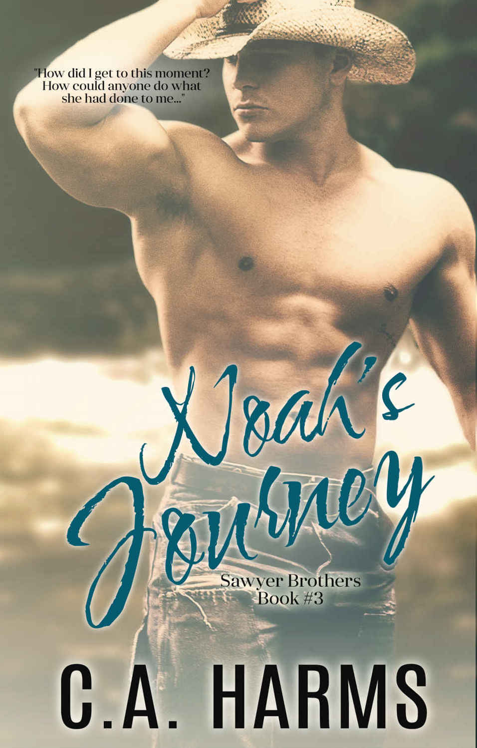 Noah's Journey (Sawyer Brothers #3) by C. A. Harms