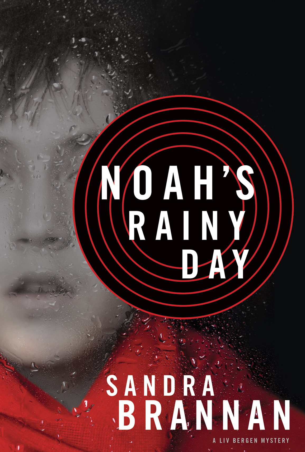 Noah's Rainy Day (2013) by Sandra Brannan