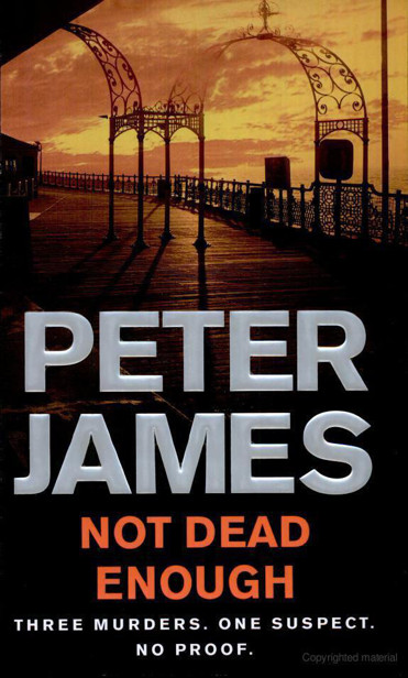 Not Dead Enough by Peter James