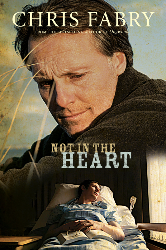 Not in the Heart (2012) by Chris Fabry