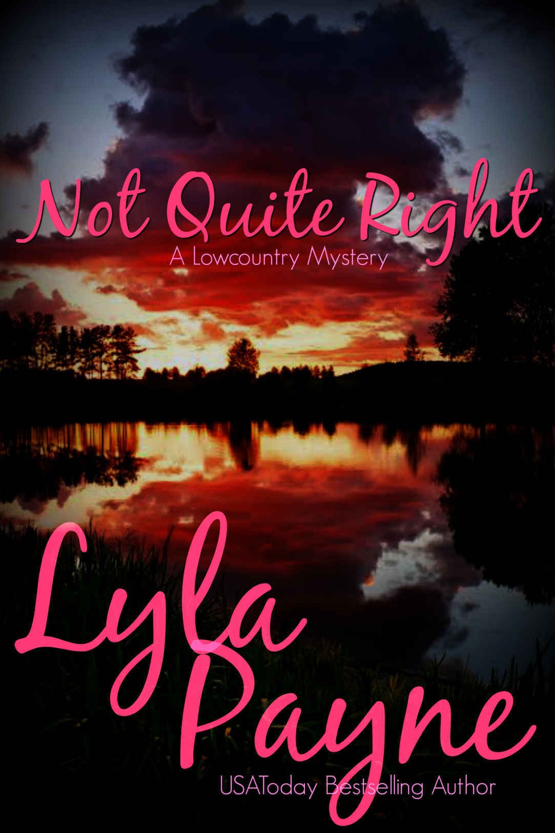 Not Quite Right (A Lowcountry Mystery) (Lowcountry Mysteries Book 6)