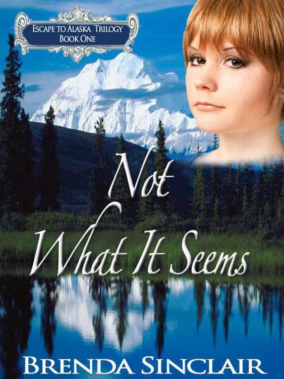 Not What It Seems (Escape to Alaska Trilogy)