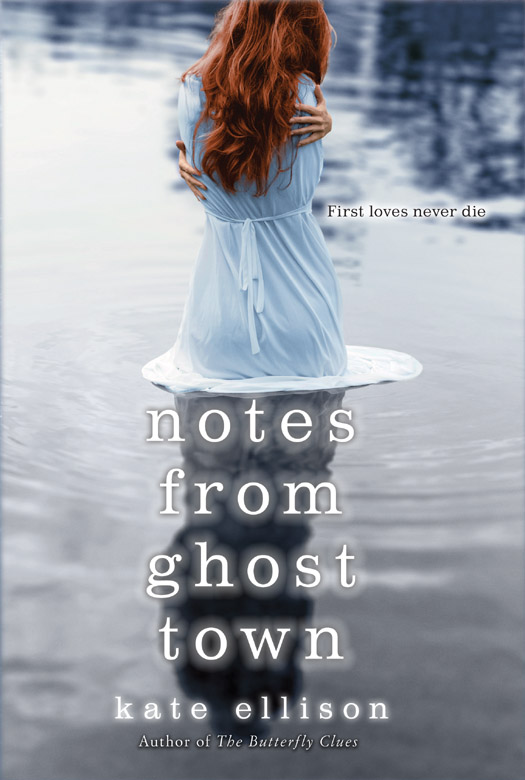 Notes from Ghost Town (2013)