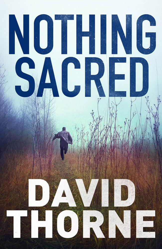 Nothing Sacred by David Thorne