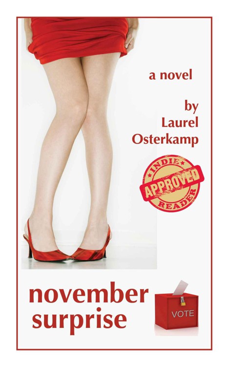 November Surprise by Laurel Osterkamp