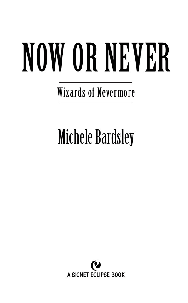 Now or Never: Wizards of Nevermore (2012) by Michele Bardsley