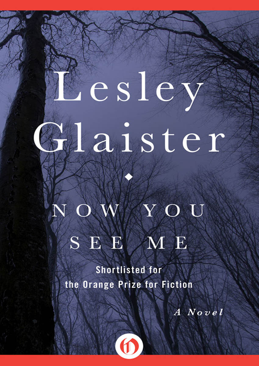 Now You See Me by Lesley Glaister