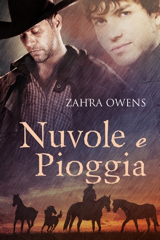 Nuvole e pioggia (2010)