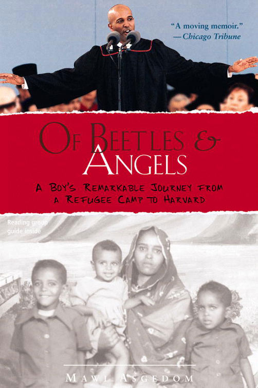 Of Beetles and Angels (2008)