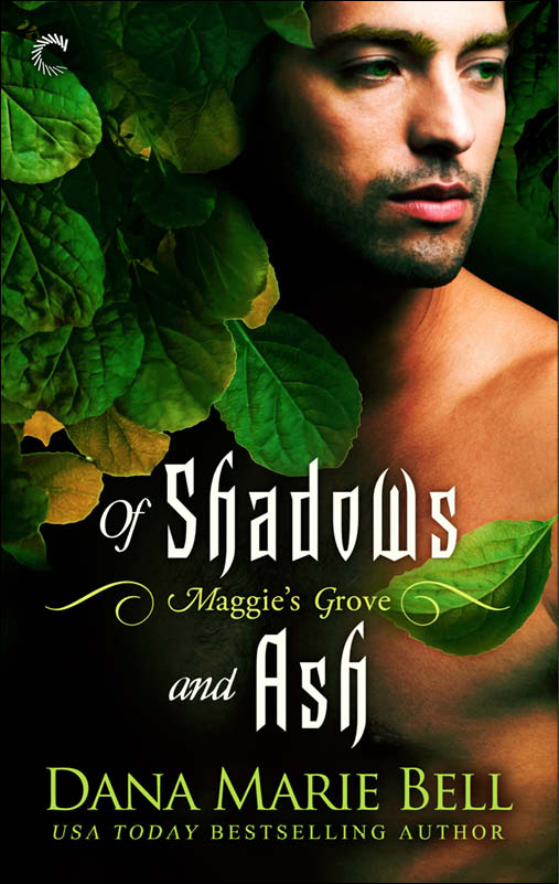 Of Shadows and Ash (2014) by Dana Marie Bell