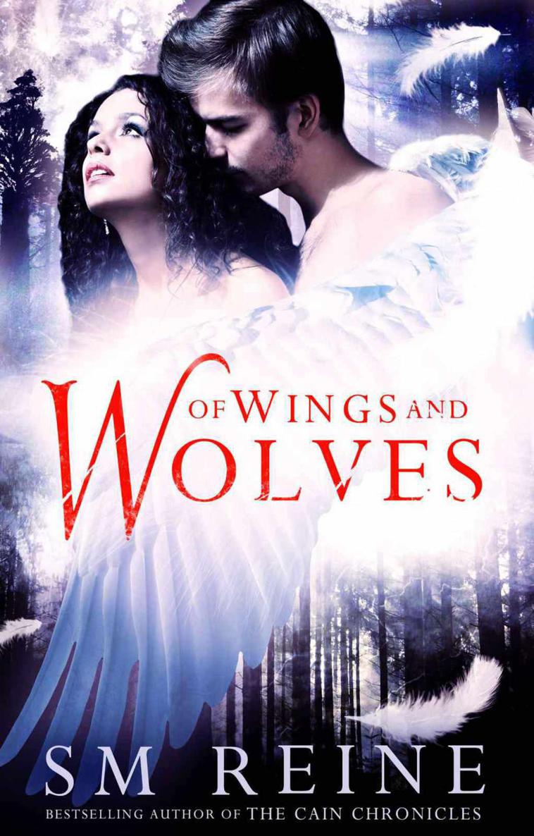 Of Wings and Wolves by Reine, SM